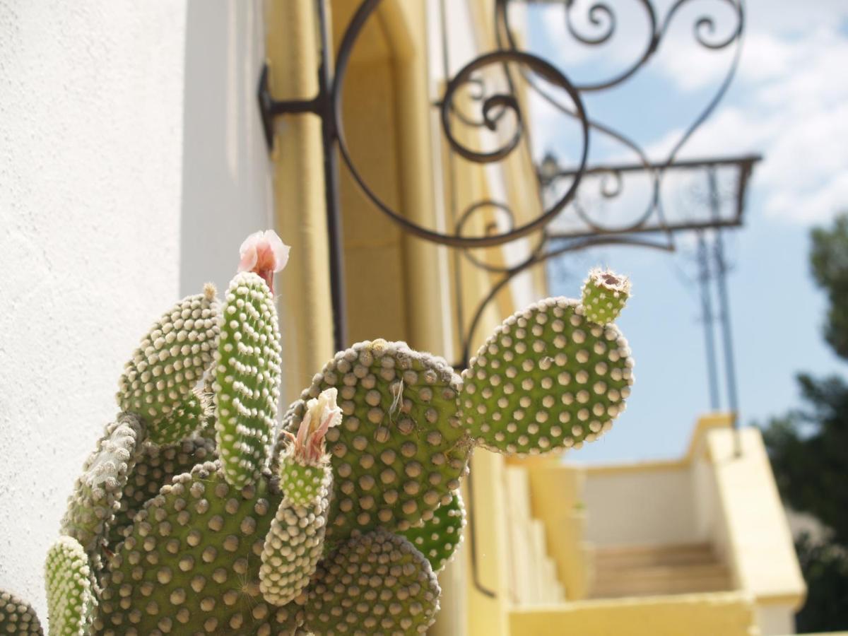 Sogni D'Oro Bed & Breakfast Grottaglie Exterior photo